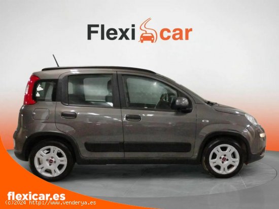 Fiat Panda City Life Hybrid 1.0 Gse 51kw (70CV) - Madrid