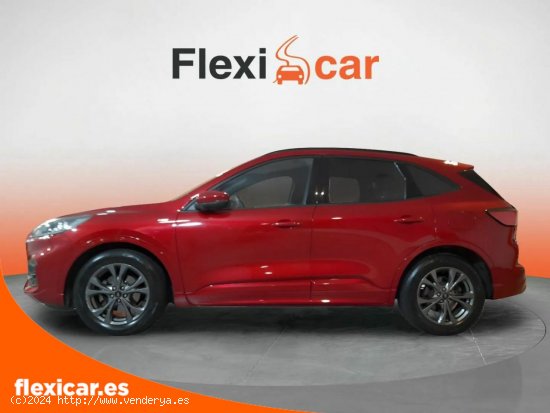 Ford Kuga ST-Line X 1.5T EcoBoost 110kW (150CV) - Reus