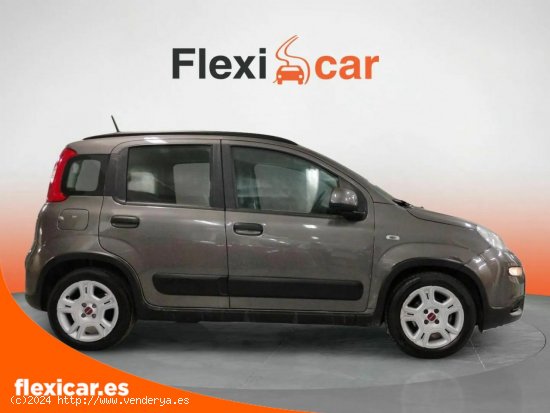 Fiat Panda City Life Hybrid 1.0 Gse 51kw (70CV) - Madrid