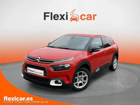 Citroën C4 Cactus PureTech 96kW (130CV) S&S Feel - Segovia