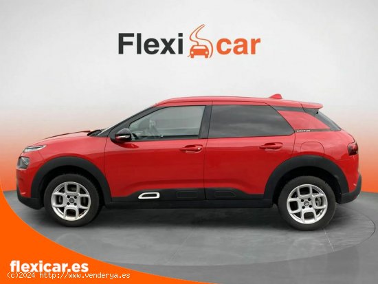 Citroën C4 Cactus PureTech 96kW (130CV) S&S Feel - Segovia