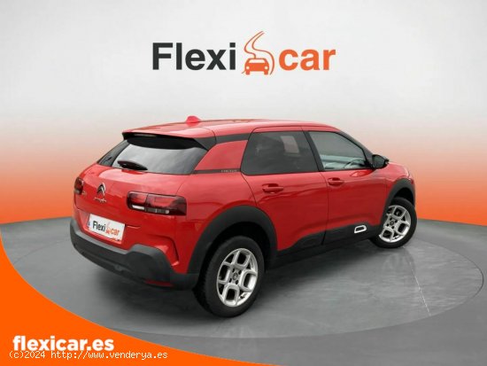 Citroën C4 Cactus PureTech 96kW (130CV) S&S Feel - Segovia