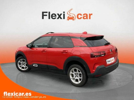 Citroën C4 Cactus PureTech 96kW (130CV) S&S Feel - Segovia