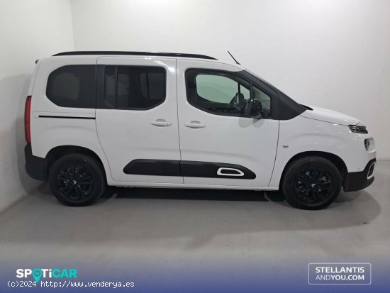 Citroën Berlingo  Talla M ë-Berlingo 50 kWh Shine - Sant Boi de Llobregat