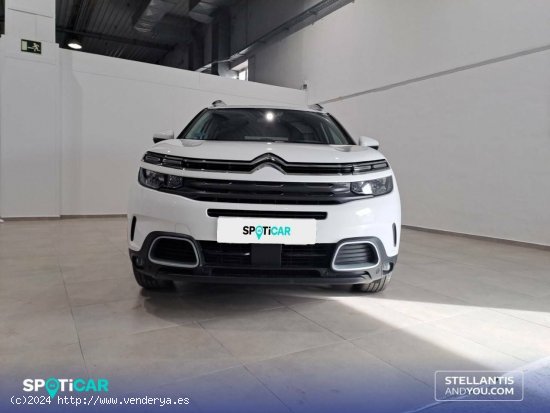 Citroën C5 Aircross  BlueHdi 96kW (130CV) S&S EAT8 Feel - Granada