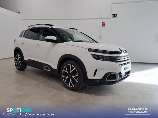 Citroën C5 Aircross  BlueHdi 96kW (130CV) S&S EAT8 Feel - Granada