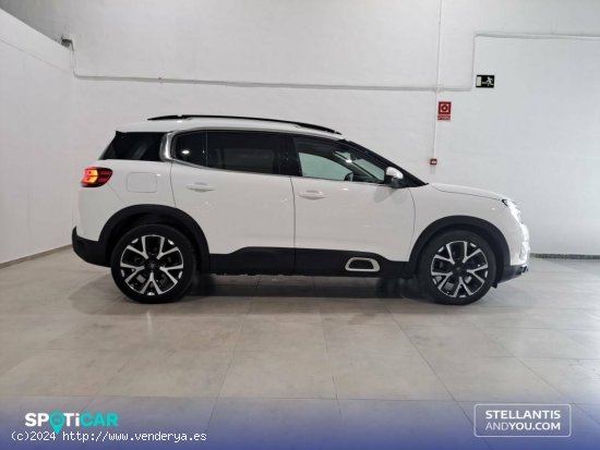 Citroën C5 Aircross  BlueHdi 96kW (130CV) S&S EAT8 Feel - Granada