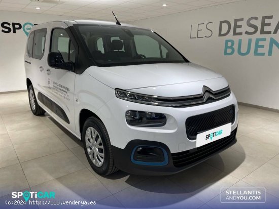 Citroën Berlingo  Talla M ë-Berlingo 50 kWh Feel - Almería