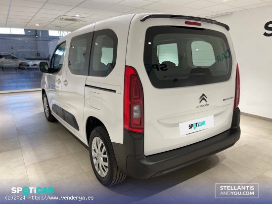 Citroën Berlingo  Talla M ë-Berlingo 50 kWh Feel - Almería