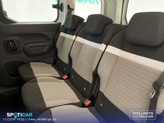 Citroën Berlingo  Talla M ë-Berlingo 50 kWh Feel - Almería