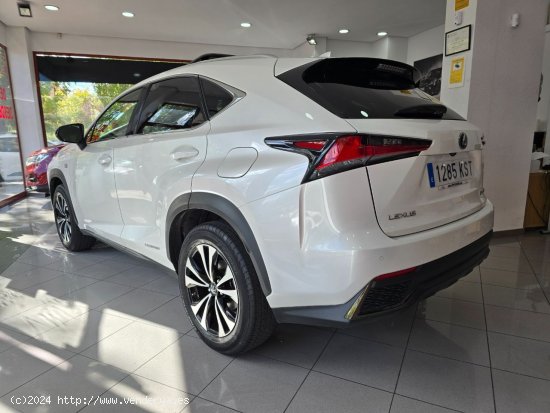 Lexus NX 300 H FSPORT 4wd - Madrid