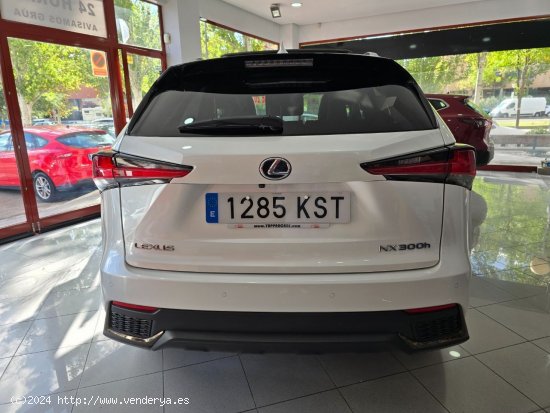 Lexus NX 300 H FSPORT 4wd - Madrid