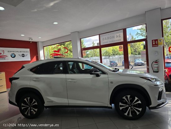 Lexus NX 300 H FSPORT 4wd - Madrid