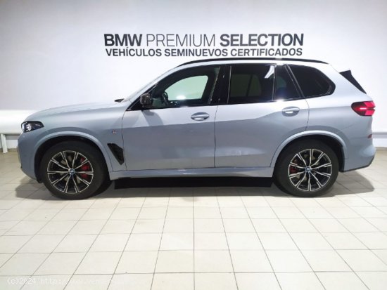 BMW X5 xdrive30d  xline 219 kw (298 cv) - Elche