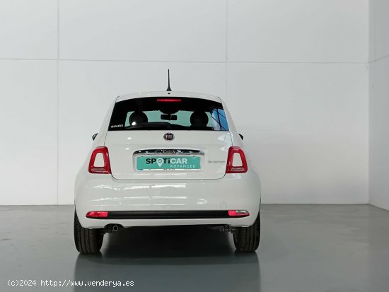 Fiat 500   1.0 Hybrid 51KW (70 CV) Cult - Mataro