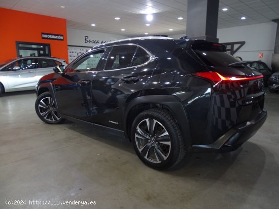 Lexus UX 2.0 250h Luxury - Madrid