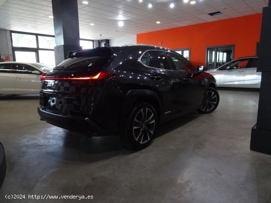 Lexus UX 2.0 250h Luxury - Madrid