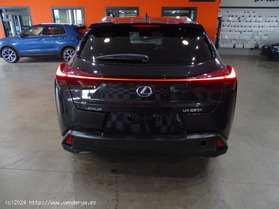 Lexus UX 2.0 250h Luxury - Madrid