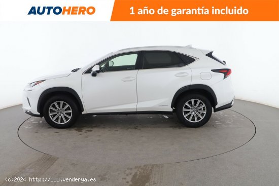 Lexus NX 2.5 300h Eco - 