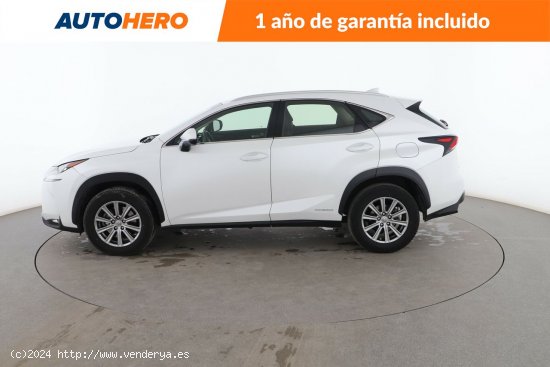 Lexus NX 300h Corporate - 