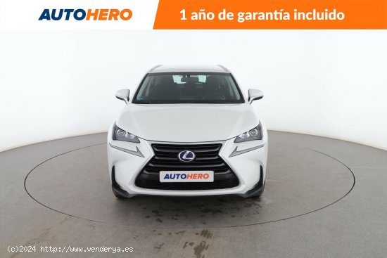 Lexus NX 300h Corporate - 