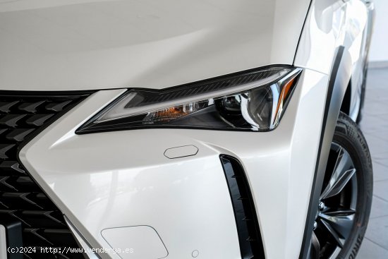 Lexus UX + 300H 4X2 - A Coruña