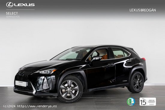  Lexus UX 250H 2WD BUSINESS - A Coruña 