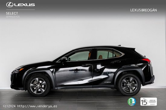 Lexus UX 250H 2WD BUSINESS - A Coruña