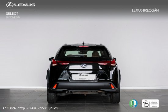 Lexus UX 250H 2WD BUSINESS - A Coruña