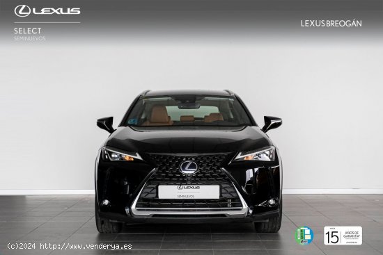 Lexus UX 250H 2WD BUSINESS - A Coruña