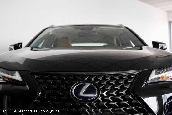 Lexus UX 250H 2WD BUSINESS - A Coruña