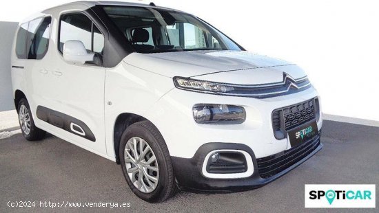 Citroën Berlingo  Talla M PureTech 110 S&S Feel - Córdoba