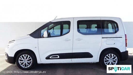 Citroën Berlingo  Talla M PureTech 110 S&S Feel - Córdoba