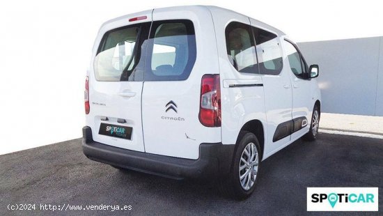 Citroën Berlingo  Talla M PureTech 110 S&S Feel - Córdoba