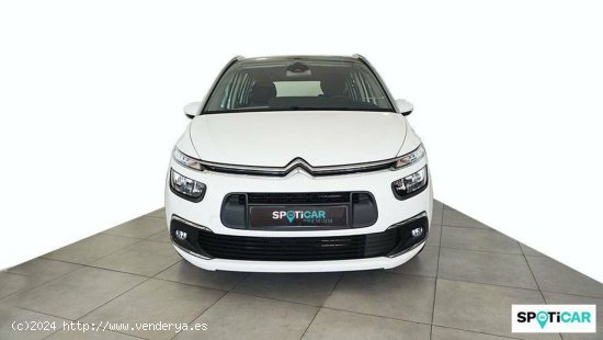 Citroën Grand C4 SpaceTourer  PureTech 96KW (130CV) S&S 6v Feel - Cordoba