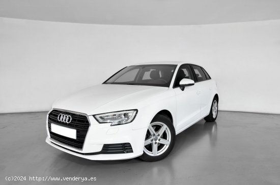 Audi A3 A3 SB 30 TDI 85kW (116CV) - 