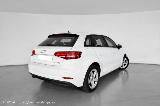 Audi A3 A3 SB 30 TDI 85kW (116CV) - 