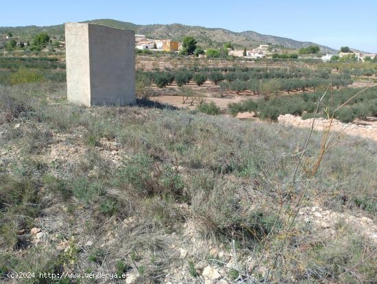 CASA CUEVA EN RASPAY - MURCIA