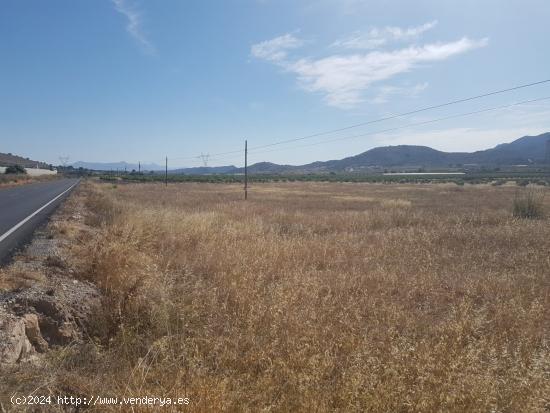  Terreno Hondón de los Frailes primera línea con agua (Alicante) - ALICANTE 