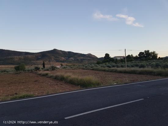 Terreno Hondón de los Frailes primera línea con agua (Alicante) - ALICANTE