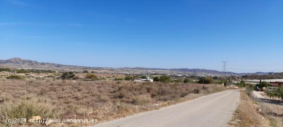 PARCELA 30.000 METROS DE TERRENO - ALICANTE