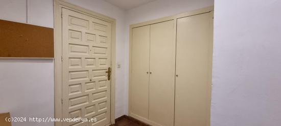 Bonito loft en alquiler en la calle Alfonso I - ZARAGOZA