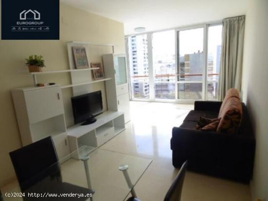  Apartamento en Av Mediterraneo, Benidorm. www.euroloix.com - ALICANTE 