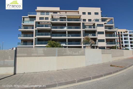 TORRE DE LA HORADADA - MIL PALMERAS - ALICANTE