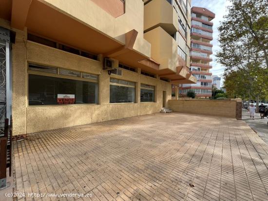 Amplio Local Comercial en Benidorm - Zona Avenida Europa - ALICANTE