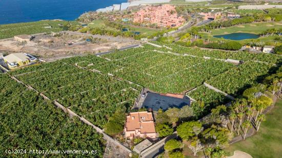 PROYECTO DE VILLA DE LUJO EN ABAMA, CON FINCA DE PLÁTANOS EN PRODUCCIÓN Y ACCESO AL CAMPO DE GOLF 