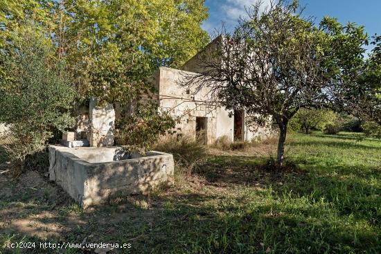 Finca Rústica en Campanet (con Agua, Luz y Pozo) - BALEARES