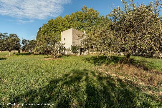 Finca Rústica en Campanet (con Agua, Luz y Pozo) - BALEARES