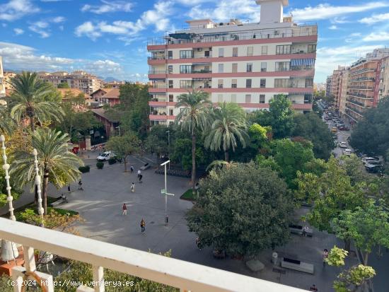 Se Alquila en Palma de Mallorca - BALEARES