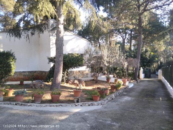 Magnifico chalet situado en Urbanización Marxuquera les Basses. Todo en Planta baja - VALENCIA